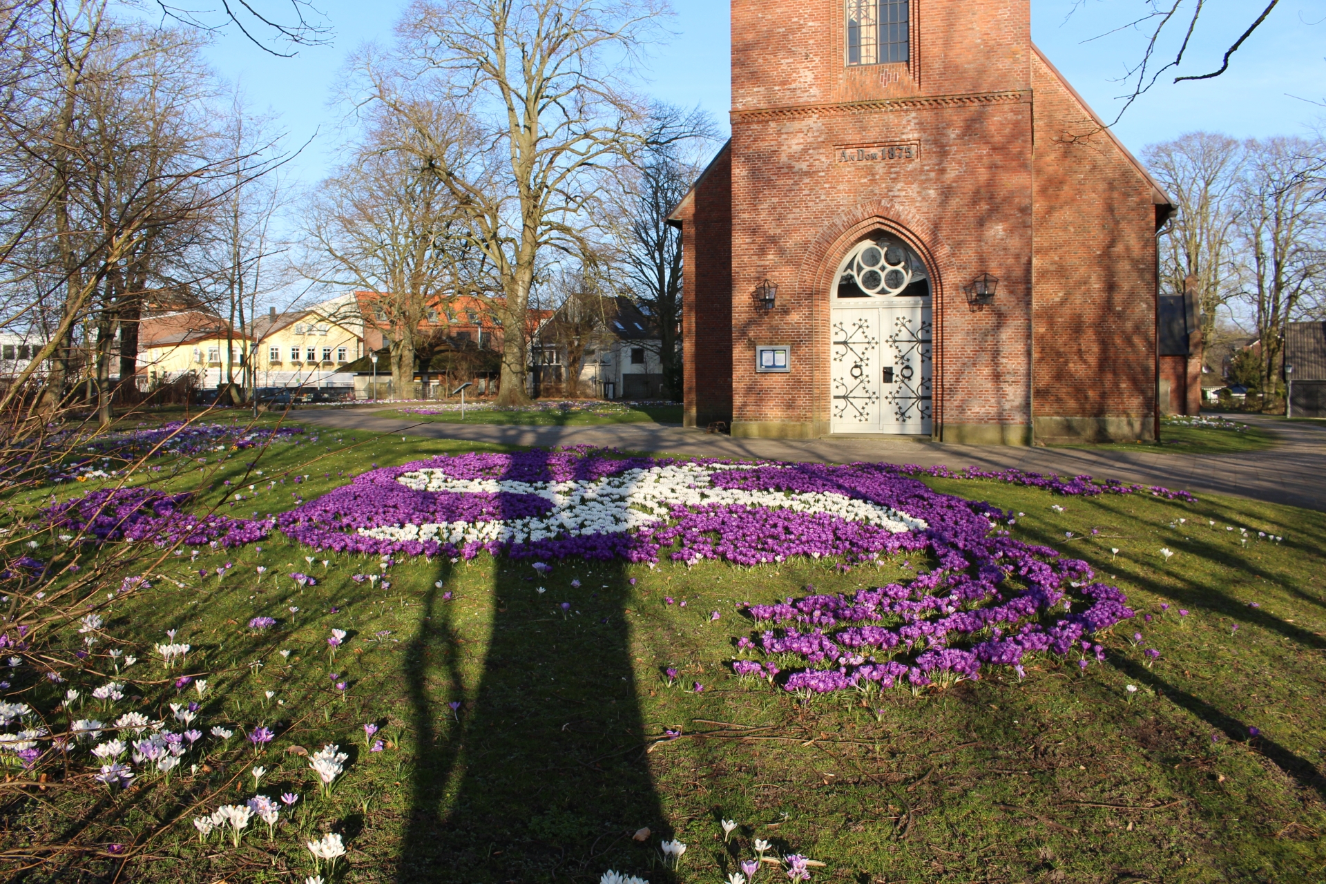 Blick auf den Vorplatz der St. Willehad-Kirche in Leck im Frühjahr. Im Vordergrund eine große, aus lila und weißen Krokussen geformte Kreuz-Taube – das Symbol der Gemeinschaft von Taizé. Im Hintergrund der rot-backsteinerne Kirchturm mit weißem Eingangsportal und gotischem Rundfenster, umgeben von kahlen Bäumen unter blauem Himmel. Die Schatten von Bäumen fallen auf die Blüten.