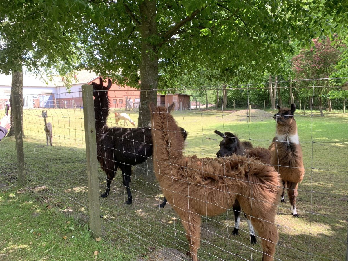 Kurze Pause in Boverstedt